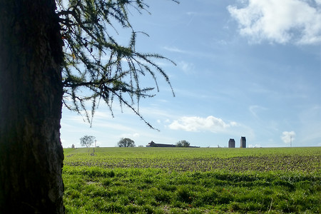 Unterwegs vor Hirschberg &ndash; (24.10.2013, VGN &copy;&nbsp;VGN GmbH)