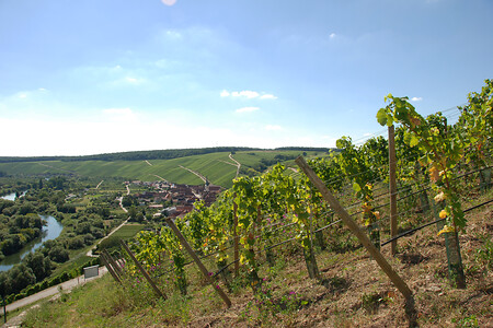 Blick auf Escherndorf &ndash; (03.09.2016, VGN &copy;&nbsp;VGN GmbH)