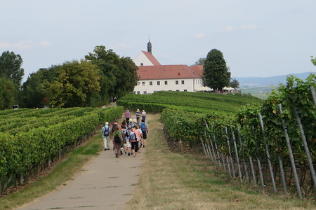 Zur Vogelsburg &ndash; (03.09.2016, VGN &copy;&nbsp;VGN GmbH)