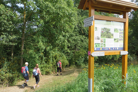 Lehrpfad &ndash; (03.09.2016, VGN &copy;&nbsp;VGN GmbH)