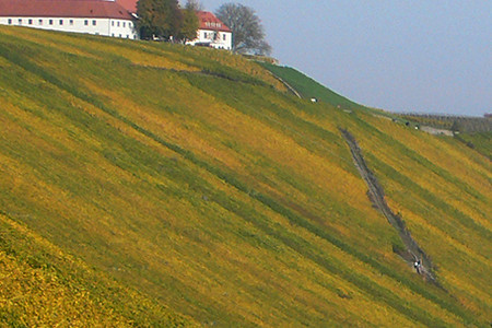 Laubfärbung &ndash; (03.09.2016, VGN &copy;&nbsp;VGN GmbH)