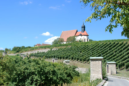 Maria im Weingarten &ndash; (03.09.2016, VGN &copy;&nbsp;VGN GmbH)