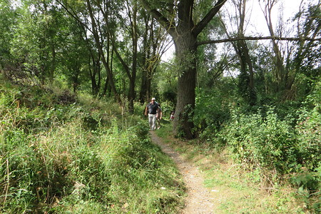 Alter Wallfahrerweg &ndash; (03.09.2016, VGN &copy;&nbsp;VGN GmbH)