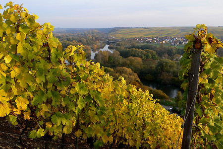 Herbst &ndash; (03.09.2016, VGN &copy;&nbsp;VGN GmbH)