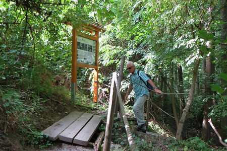 Aufstieg zur Vogelsburg &ndash; (03.09.2016, VGN &copy;&nbsp;VGN GmbH)