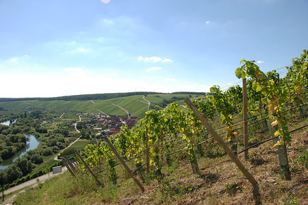 Blick auf Escherndorf &ndash; (03.09.2016, VGN &copy;&nbsp;VGN GmbH)