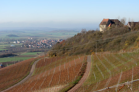 Weinberge und Burg Hoheneck &ndash; (19.11.2012, VGN &copy;&nbsp;VGN GmbH)