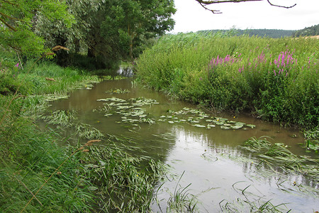 Bei Schmalenbach &ndash; (31.07.2013, VGN &copy;&nbsp;VGN GmbH)