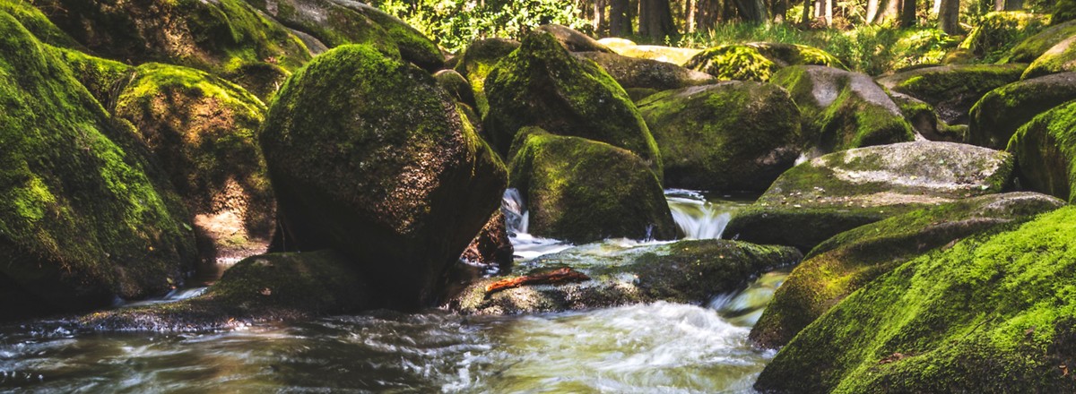Im wildromantischen Waldnaabtal: In einem canyonartigen Tal bahnt sich die Waldnaab ihren Weg durch imposante Granitfelsen. &ndash;  (&copy;&nbsp;Andrea Herpich)