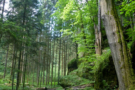 Wanderweg &ndash; (13.06.2013, VGN &copy;&nbsp;VGN GmbH)