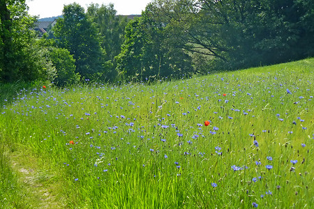 Vor Krottensee &ndash; (13.06.2013, VGN &copy;&nbsp;VGN GmbH)