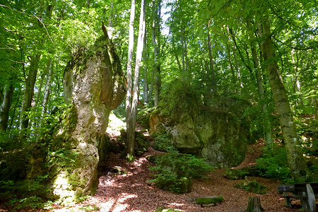 Eingang zur Mysteriengrotte &ndash; (13.06.2013, VGN &copy;&nbsp;VGN GmbH)
