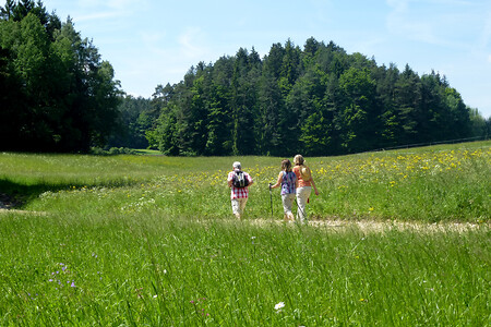 Unterwegs &ndash; (13.06.2013, VGN &copy;&nbsp;VGN GmbH)