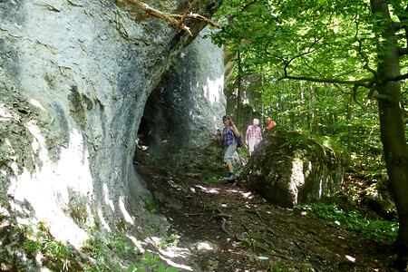 An den Felsen entlang... &ndash; (13.06.2013, VGN &copy;&nbsp;VGN GmbH)