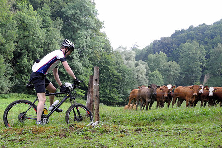 Zaungast &ndash; (10.08.2013, VGN &copy;&nbsp;VGN GmbH)