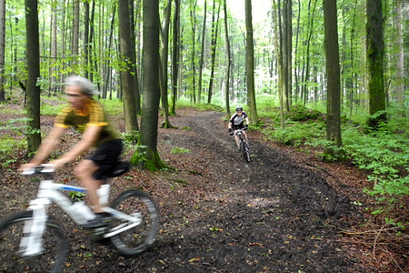 Gleitstück &ndash; (10.08.2013, VGN &copy;&nbsp;VGN GmbH)