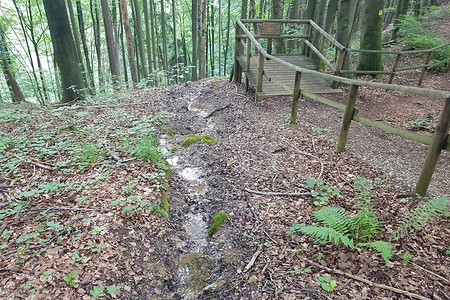 Steinerne Rinne &ndash; (04.08.2019, S. Dassler &copy;&nbsp;VGN GmbH)