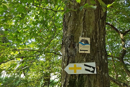 Entlang des Mühlenweges &ndash; (04.08.2019, S. Dassler &copy;&nbsp;VGN GmbH)