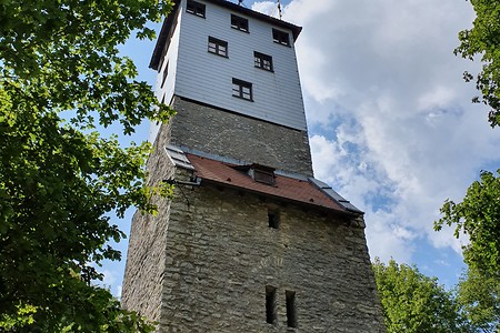 Turm auf dem Moritzberg &ndash; (04.08.2019, S. Dassler &copy;&nbsp;VGN GmbH)