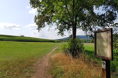 Flurweg &ndash; (04.08.2019, S. Dassler &copy;&nbsp;VGN GmbH)