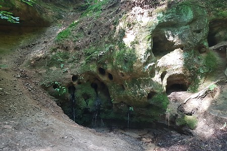 Sprosselbrunnen &ndash; (04.08.2019, S. Dassler &copy;&nbsp;VGN GmbH)