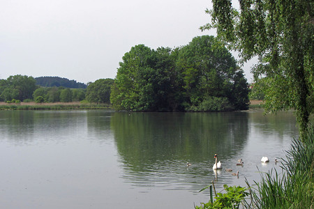 Weiher &ndash; (Rück &copy;&nbsp;Rück)