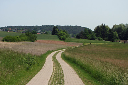 Bei Trabelsdorf &ndash; (Rück &copy;&nbsp;Rück)
