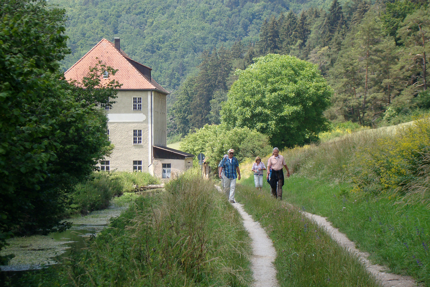 Flemmühle &ndash;  (28.08.2015, VGN &copy;&nbsp;VGN GmbH)