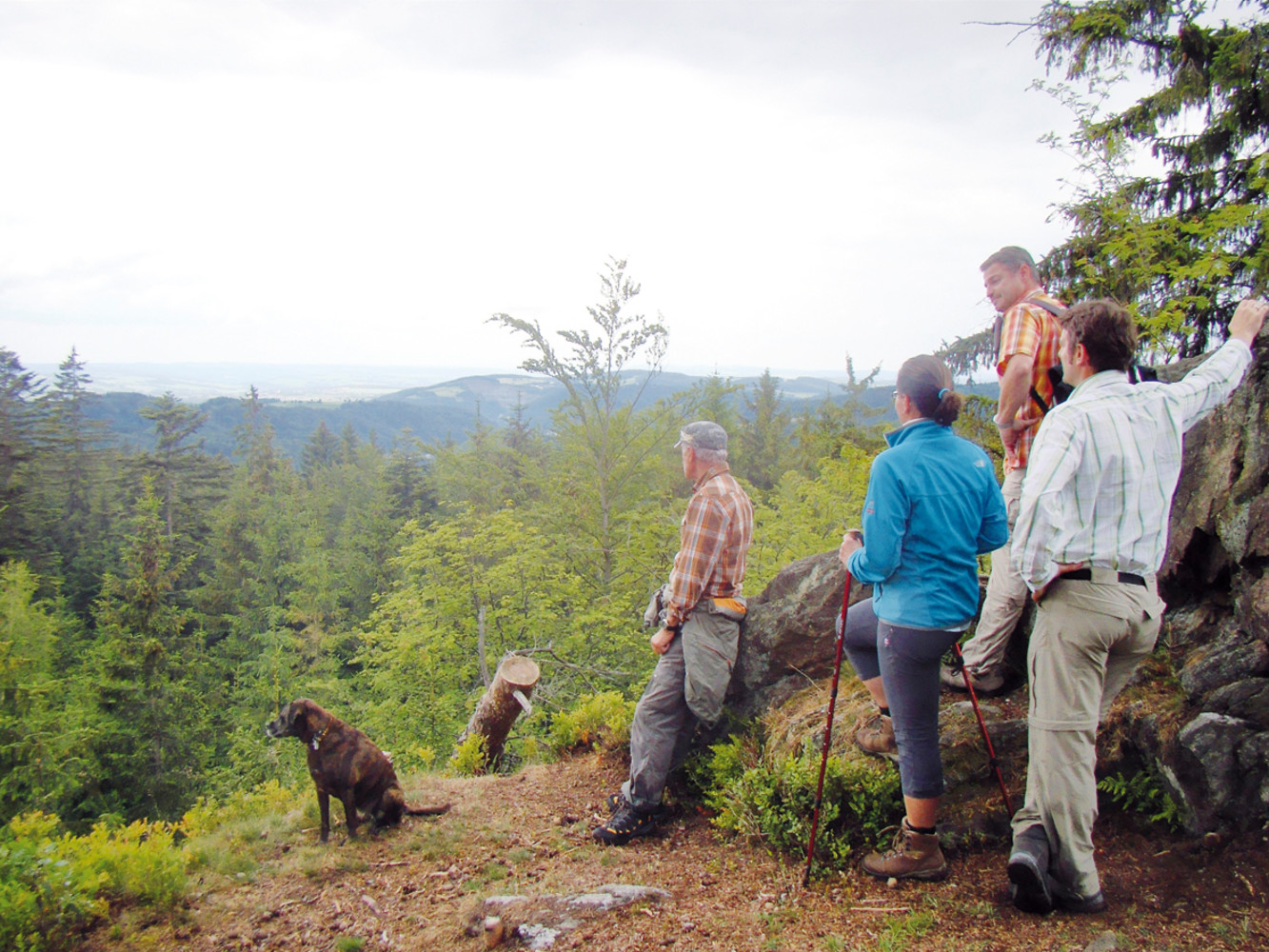 Am Fürstenstein &ndash;  (14.06.2011, VGN &copy;&nbsp;VGN GmbH)