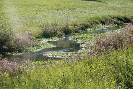 Der Kerschbach bei Darshofen &ndash; (VGN &copy;&nbsp;VGN GmbH)