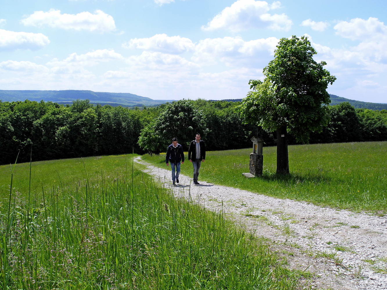 Aufstieg zum Senftenberger Keller &ndash;  (17.05.2012, VGN &copy;&nbsp;VGN GmbH)