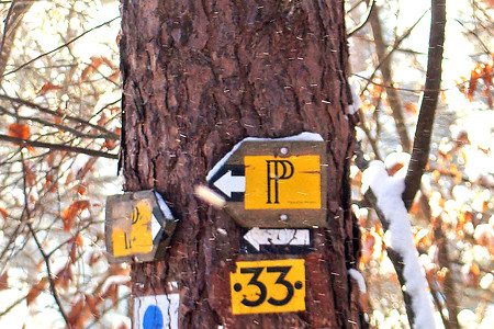 Unsere Wegzeichen "Blauer Kreis" und "Blaupunkt" &ndash; (VGN &copy;&nbsp;VGN GmbH)