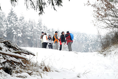 Wandergruppe unterwegs &ndash; (28.01.2012, VGN &copy;&nbsp;VGN GmbH)