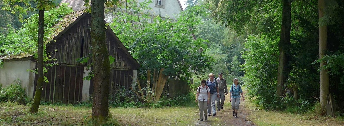 Tanzenhaid &ndash;  (18.02.2019, Gertrud Härer &copy;&nbsp;Gertrud Härer)