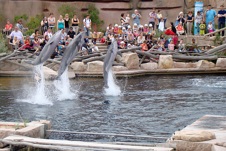 Delfinlagune im Tiergarten Nürnberg &ndash; (21.06.2012, VGN &copy;&nbsp;VGN GmbH)