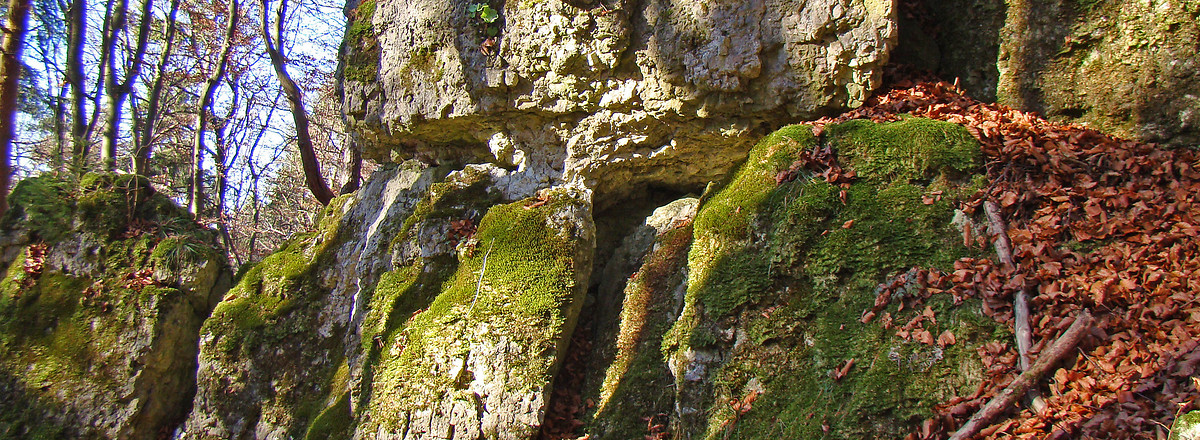 Felsformationen am Wegrand &ndash;  (VGN &copy;&nbsp;VGN GmbH)