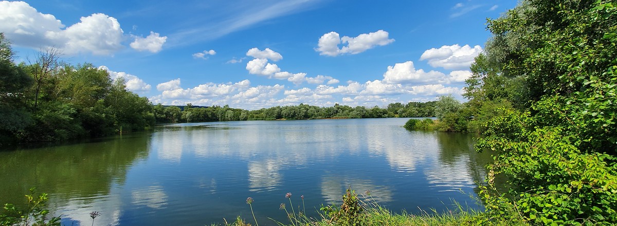 Baggersee Breitengüßbach &ndash;  (21.07.2019, S. Dassler &copy;&nbsp;VGN GmbH)