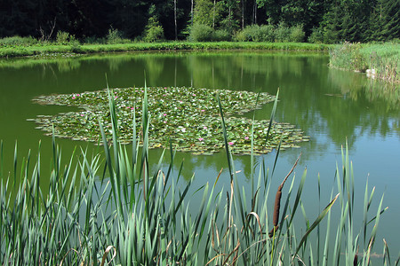 Weg nach Wollersdorf &ndash; (Rück &copy;&nbsp;Rück)