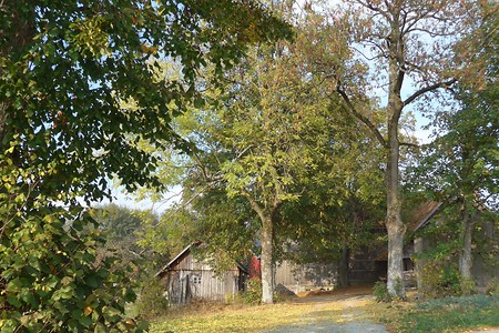 Scheune im Wald &ndash; (14.10.2018, G. Härer &copy;&nbsp;VGN GmbH)