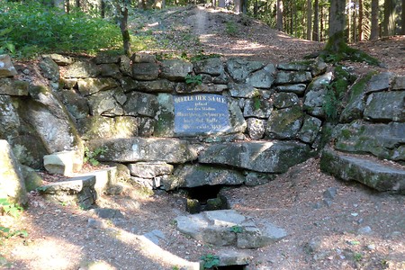 Saalequelle &ndash; (14.10.2018, G. Härer &copy;&nbsp;VGN GmbH)