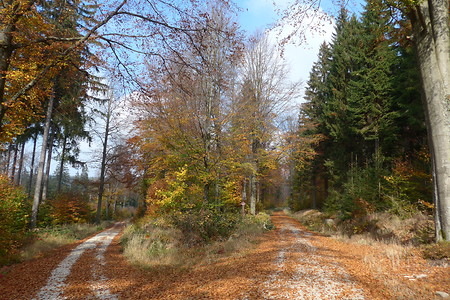 Wegeauswahl &ndash; (14.10.2018, G. Härer &copy;&nbsp;VGN GmbH)