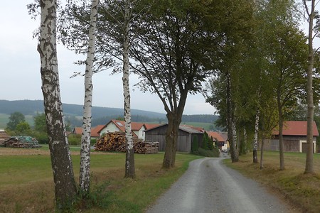 Richtung Metzlesreuth &ndash; (14.10.2018, G. Härer &copy;&nbsp;VGN GmbH)