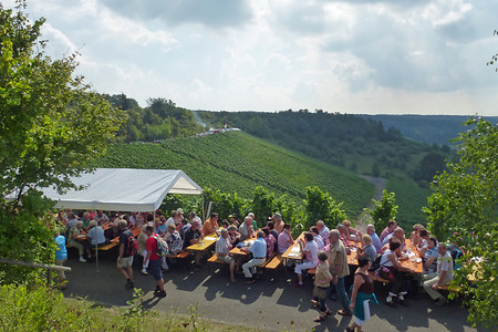 Weinnester &ndash; (VGN &copy;&nbsp;VGN GmbH)