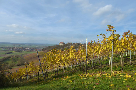 Herbst in den Ipsheimer Weinlagen &ndash; (08.11.2015, VGN &copy;&nbsp;VGN GmbH)