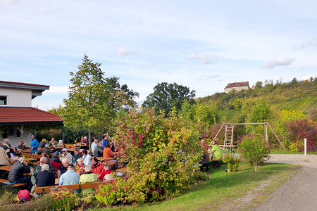 Weinnest &ndash; (13.10.2012, VGN &copy;&nbsp;VGN GmbH)
