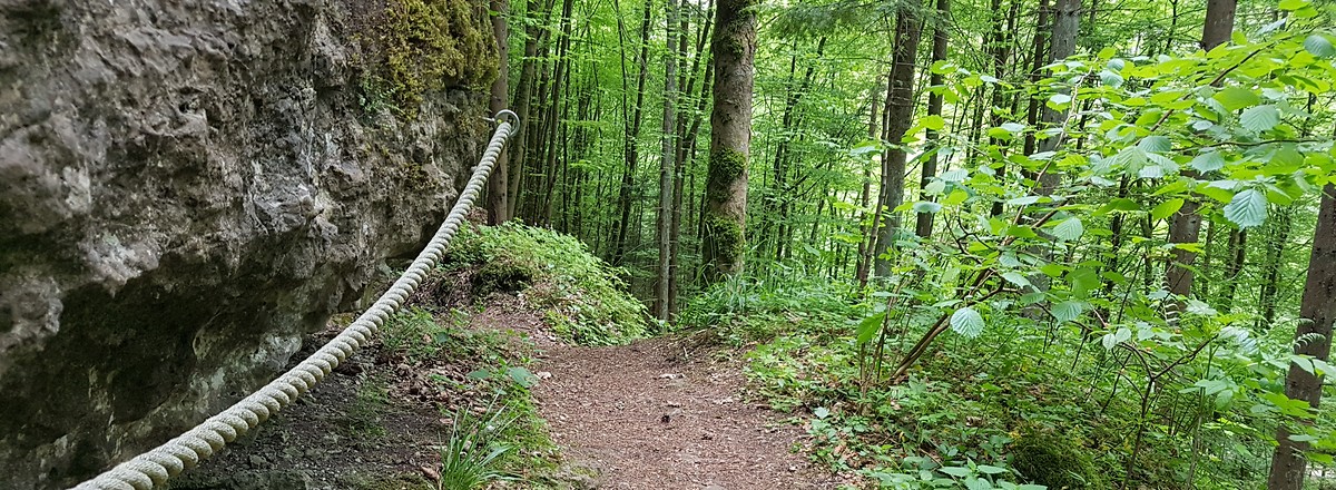 Felsweg mit Tau &ndash;  (26.05.2020, S. Dassler &copy;&nbsp;VGN GmbH)