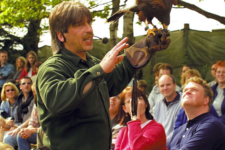 Falknerei &ndash; (VGN &copy;&nbsp;VGN GmbH)