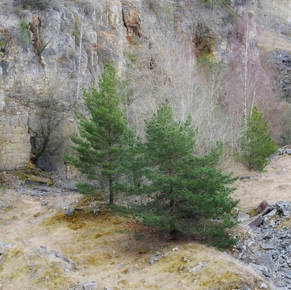 Steinbruch Osterdorf im Altmühltal &ndash; Steinbruch beim VGN Freizeittipp im Altmühltal  (27.05.2019, &copy;&nbsp;VGN GmbH)