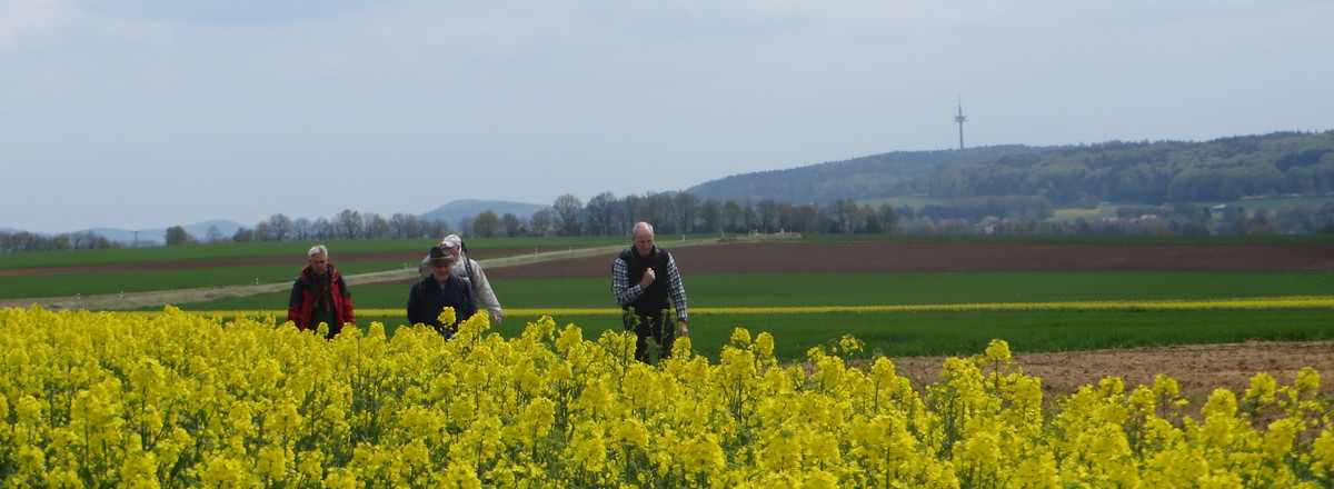 Blick zum Göschberg &ndash;  (14.02.2017, VGN &copy;&nbsp;VGN GmbH)