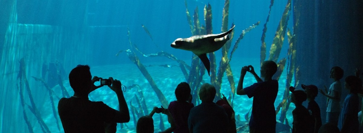 Blauer Salon im Tiergarten &ndash;  (Tiergarten Nürnberg &copy;&nbsp;Tiergarten Nürnberg)